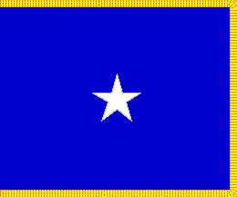 [Air Force Brigadier General flag]